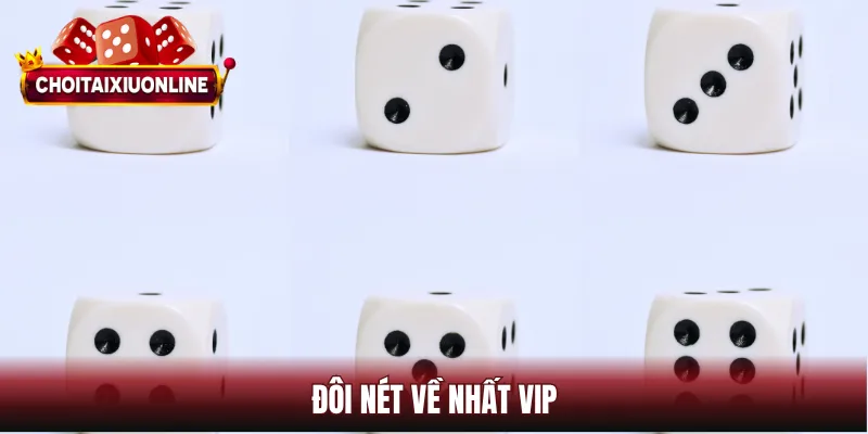 Đôi nét về Nhất VIP