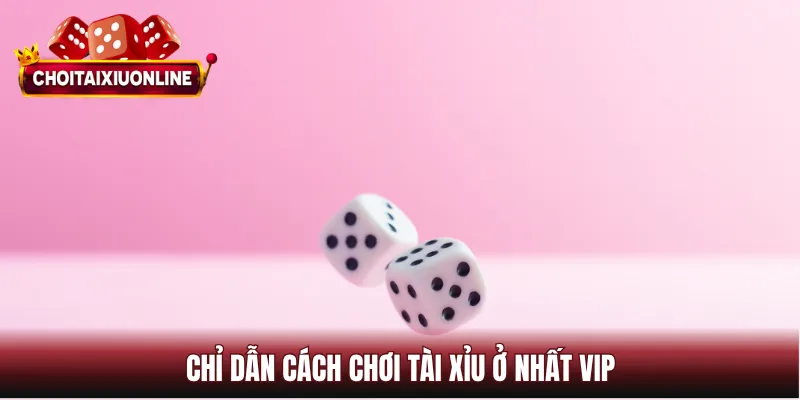 Chỉ dẫn cách chơi tài xỉu ở Nhất VIP