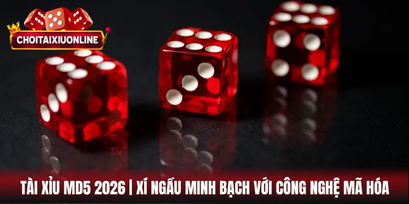 Tài Xỉu MD5