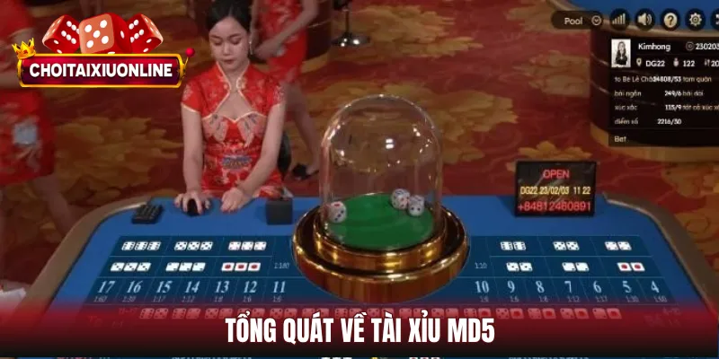 Tổng quát về tài xỉu MD5