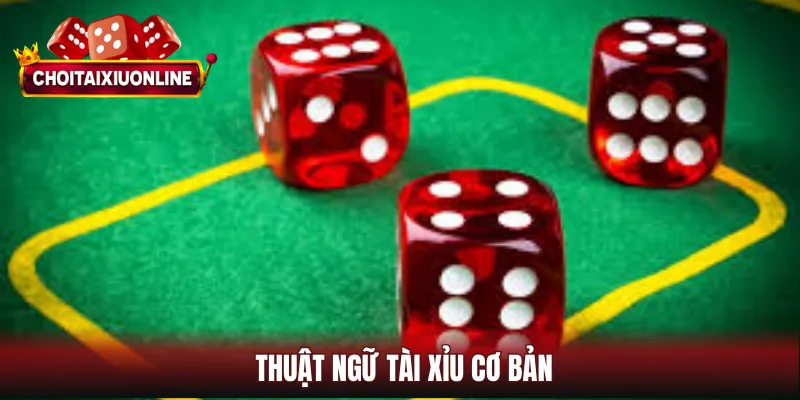 Thuật ngữ tài xỉu cơ bản