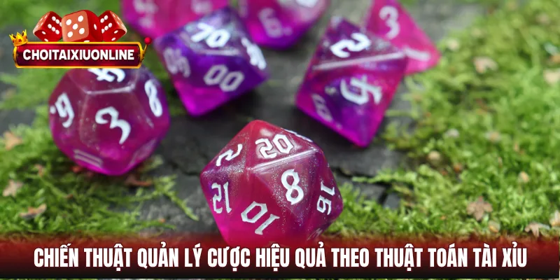 Chiến thuật quản lý cược hiệu quả theo thuật toán tài xỉu