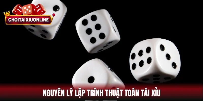 Nguyên lý lập trình thuật toán tài xỉu