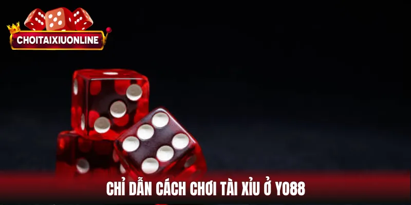 Chỉ dẫn cách chơi tài xỉu ở YO88